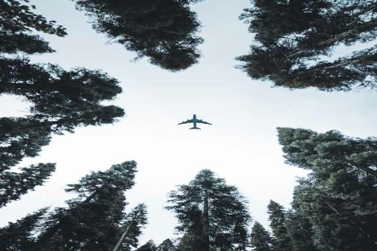 Le caratteristiche dell'Airbus A380-800