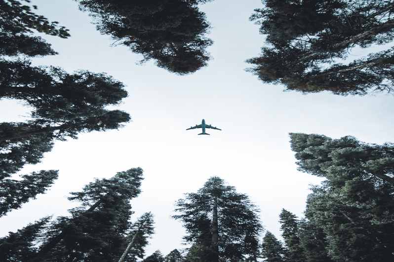 Le caratteristiche dell'Airbus A380-800